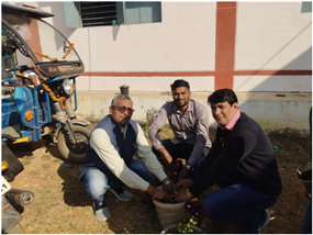 विक्षारोपण समारोह - Naveen Government College Akaltari, Distt.: Bilaspur (Chhattisgarh)